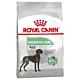 ROYAL CANIN CCN MAXI DIGESTIVE CARE - sucha karma dla psa dorosłego - 3kg