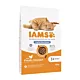 IAMS Vitality Sterilised - sucha karma dla kota - 10 kg