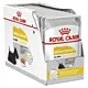 ROYAL CANIN CCN DERMACOMFORT LOAF  mokra karma dla psa dorosłego - 12x85g