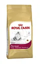 Royal Canin FBN Persian Adult - sucha karma dla kota dorosłego - 4kg