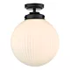 Lampa sufitowa Alrik Bathroom Flush Matt Black Opal Glass IP44