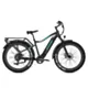 Rower Elektryczny Jobobike Apex Czarny-Zielony