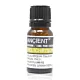 Olejek Eteryczny KOCANKA Helichrysum 100% - 10 ml