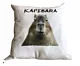 Poduszka Kapibara + imię gratis 40x40 cm