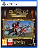 Harry Potter Mistrzowie Quidditcha Edycja Deluxe PL (PS5)