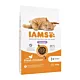 IAMS Adult Hairball Control - sucha karma dla kota - 10 kg