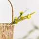 Gałązka sztuczna MEADOW z małymi kwiatkami żółta 53 cm HOMLA