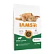 IAMS Vitality cat adult lamb - sucha karma dla kota - 10 kg