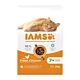 IAMS Vitality Senior - sucha karma dla kota - 10 kg