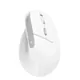 Trust Mysz BAYO II ergonomiczna bezprzewodowa biała