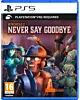 Retropolis 2: Never Say Goodbye (PSVR2) (PS5)