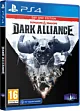 Dungeons and Dragons Dark Alliance Day One Edition (PS4)