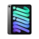 Apple iPad mini Wi-Fi + Cellular 256GB Gwiezdna szarość