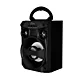 Głośnik bezprzewodowy BOOMBOX LT MT3155