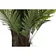 Emaga Drzewo DKD Home Decor Palma polipropylen 100 x 100 x 250 cm