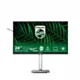 Philips Monitor 23.8 cala 24B2G5200 IPS 100Hz HDMI DP Pivot Głośniki