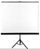 AVTek Ekran na statywie TRIPOD STANDARD 200 (1:1, 200x200cm, powierzchnia biała, matowa)
