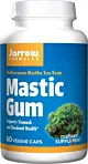 JARROW FORMULAS Pistacja Mastic Gum 500 mg (60 kaps.)