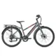 Rower Elektryczny Jobobike Viva 14Ah / Ciemny Szary / Rama z niskim przekrokiem