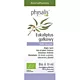 OLEJEK ETERYCZNY EUKALIPTUS GAŁKOWY (EUCALYPTUS GLOBULUS) BIO 10 ml - PHYSALIS