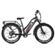 Rower Elektryczny Jobobike Robin Plus / Rama z niskim przekrokiem / Czarny