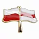 Przypinka, pin flaga Polska-Wolna Białoruś