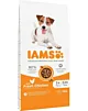 IAMS Vitality Adult Small Medium - sucha karma dla psa - 12 kg