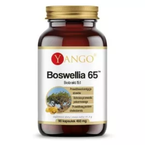 YANGO Boswellia 65 (90 kaps.)