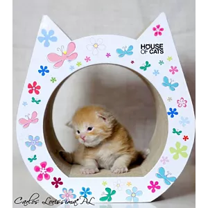 Drapak dla kota Small Cat Flowers