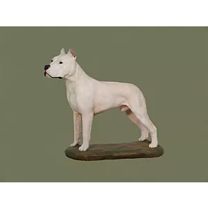 Dog Argentyński Malowana statuetka Posąg Figurka