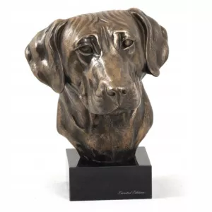 Afrykański Pies Na Lwy Statuetka, Figurka