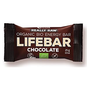 BATON DAKTYLOWO-ORZECHOWY CZEKOLADA RAW BIO 25 G