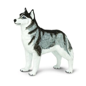 Pies Husky Syberyjski. Figurka Safari Ltd.