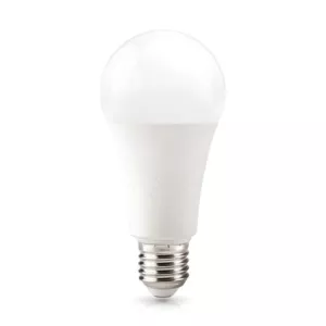 Żarówka Led Gs 18W E27 Barwa Zimnobiała