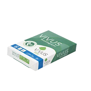 Papier VIVUS A4 80 g ryzowany 500 arkuszy