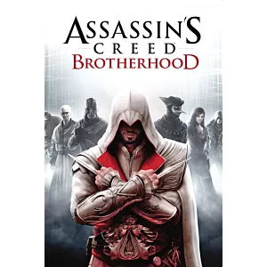 Assassin's Creed Brotherhood KLUCZ CD KEY KOD BEZ VPN 24/7