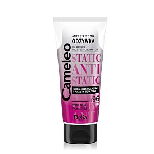 DELIA Cameleo Odżywka antystatyczna do włosów niezdyscyplinowanych Cameleo ANTI-STATIC, 200ml