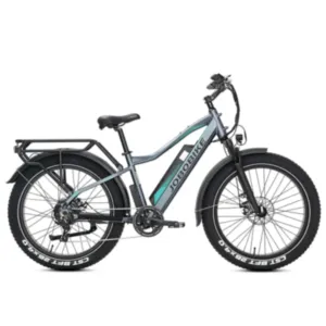 Rower Elektryczny Jobobike Robin / Wysoka rama / Szary