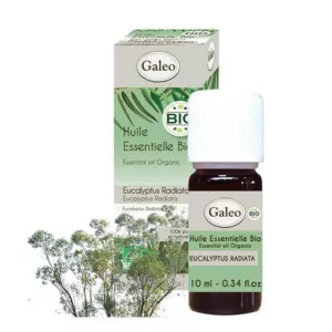Olejek eteryczny BIO z eukaliptusa australijskiego Galeo 10 ml
