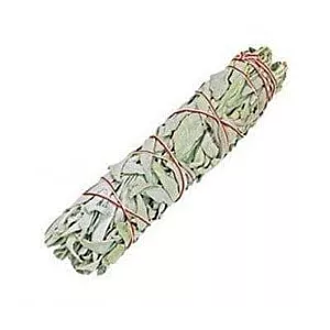 BIAŁA SZAŁWIA - Naturalne kadzidło w pęczku - White Sage - 15 cm