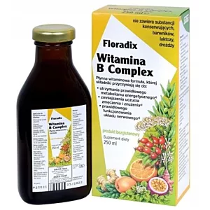 Floradix Witamina B Complex 250ml