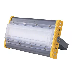 ZD21C HALOGEN ZEWNĘTRZNY 50W LED