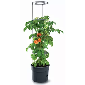 Doniczka do uprawy pomidorów Planter Donica 12l
