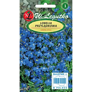 Nasiona Lobelia przylądkowa, Stroiczka niebieska