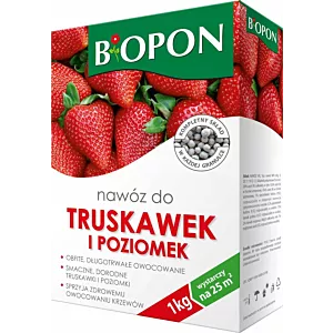 Nawóz do truskawek i poziomek 1kg Odżywka