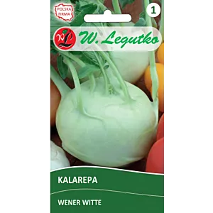 Nasiona Kalarepa Wener Witte-jasnozielona, wczesna